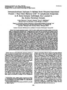 Immunodominant Epitopes in Babesia bovis Rhoptry-Associated ...