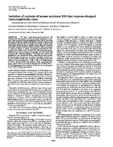 immunoglobulin class