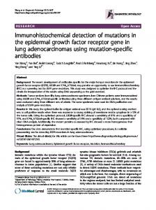 Immunohistochemical detection of mutations in the ... - CiteSeerX