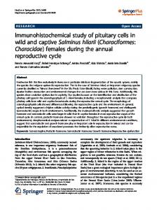 Immunohistochemical study of pituitary cells in wild ... - Semantic Scholar