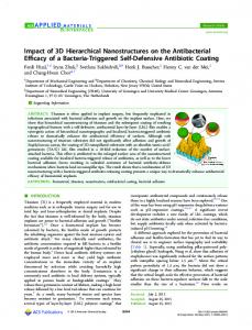 Impact of 3D Hierarchical Nanostructures on the ... - ACS Publications