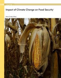 Impact of Climate Change on Food Security1 - Arab Forum for ...