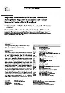 Impaired Intramembranous Bone Formation during Bone ... - CiteSeerX