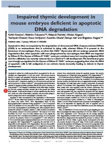 Impaired thymic development in mouse embryos deficient in ... - Nature