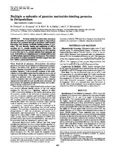 in Dictyostelium - Europe PMC