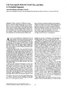 in Drosophila Oogenesis - BioMedSearch