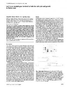 in fission yeast - NCBI