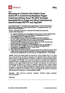 in Geminivirus-Resistant Pepper - MDPI