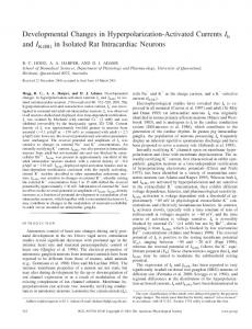 in Isolated Rat Intracardiac Neurons