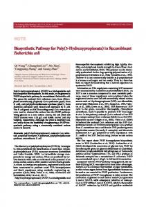 in Recombinant Escherichia coli - Springer Link