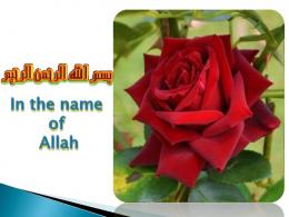 In the name of Allah