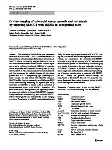 In vivo imaging of colorectal cancer growth and ... - Springer Link