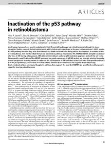 Inactivation of the p53 pathway in retinoblastoma