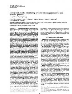 Incorporation of a circulating protein into megakaryocyte and platelet ...