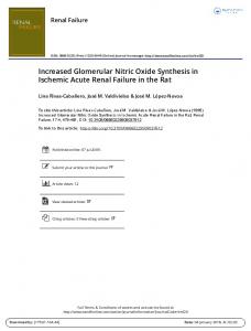 Increased Glomerular Nitric Oxide Synthesis in ...