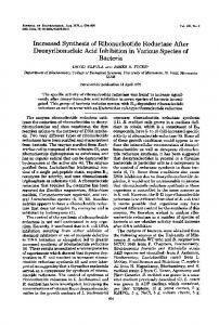 Increased Synthesis of Ribonucleotide Reductase After ...