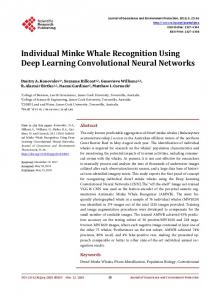 Individual Minke Whale Recognition Using Deep Learning