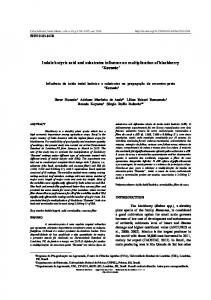 Indole butyric acid and substrates influence on