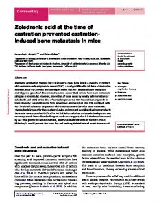 induced bone metastasis in mice - Endocrine-Related Cancer