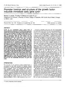 inducible immediate early gene cyr61