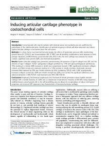 Inducing articular cartilage phenotype in costochondral cells