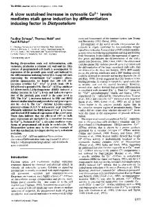 inducing factor in Dictyostelium - NCBI