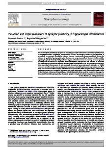 Induction and expression rules of synaptic ... - Semantic Scholar