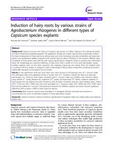 Induction of hairy roots by various strains of