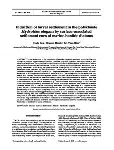 Induction of larval settlement in the polychaete Hydroides elegans by ...