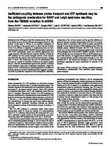 Inefficient coupling between proton transport and