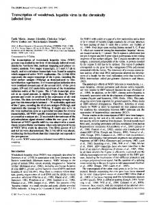 infected liver - NCBI