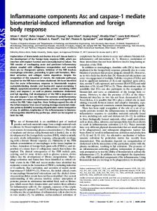 Inflammasome components Asc and caspase-1 ... - Semantic Scholar