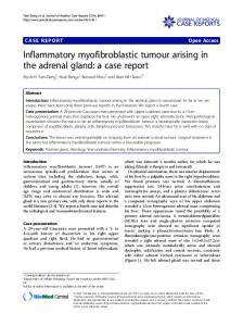 Inflammatory myofibroblastic tumour arising in the ... - Springer Link