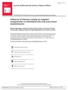 Influence of chitosan coating on magnetic