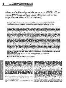 Influence of epidermal growth factor receptor (EGFR), p53 and intrinsic ...