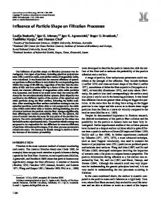 Influence of Particle Shape on Filtration Processes