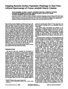 Infrared Spectroscopy of Proteus mirabilis Swarm ...