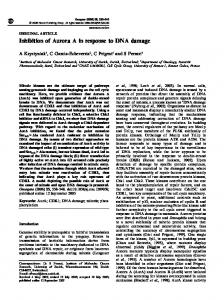 Inhibition of Aurora A in response to DNA damage - Nature