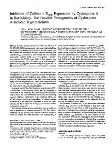 Inhibition of Calbindin D28K Expression by Cyclosporin A in ... - JASN