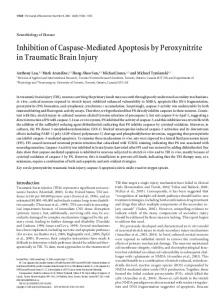 Inhibition of Caspase-Mediated Apoptosis by ... - Semantic Scholar