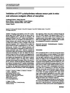 Inhibition of GTP cyclohydrolase reduces cancer pain in mice and ...