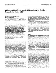 Inhibition of in Vitro Myogenic Differentiation by ... - Semantic Scholar