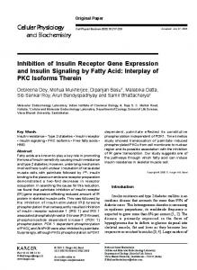 Inhibition of Insulin Receptor Gene Expression and Insulin Signaling ...