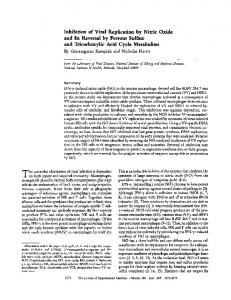 Inhibition of Viral Replication by Nitric Oxide and Its ... - BioMedSearch