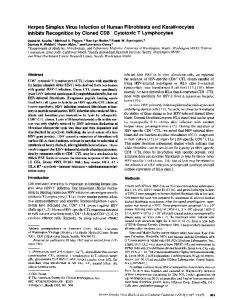 Inhibits Recognition by Cloned CD8+ Cytotoxic T Lymphocytes