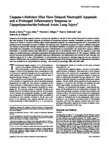 Injury Lipopolysaccharide-Induced Acute Lung Inflammatory ...