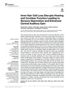 Inner Hair Cell Loss Disrupts Hearing and Cochlear Function ... - Core