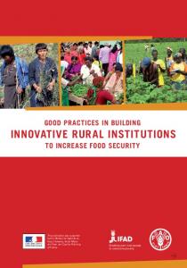 innovative rural institutions