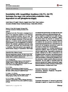 Inoculation with Azospirillum brasilense (Ab-V4, Ab