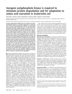 Inorganic polyphosphate kinase is required to stimulate protein ...